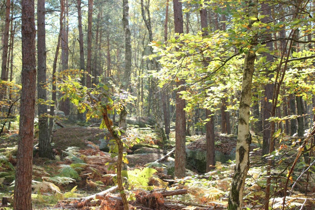 Ma Gentilhommiere Bed and Breakfast Croutoy Exteriör bild